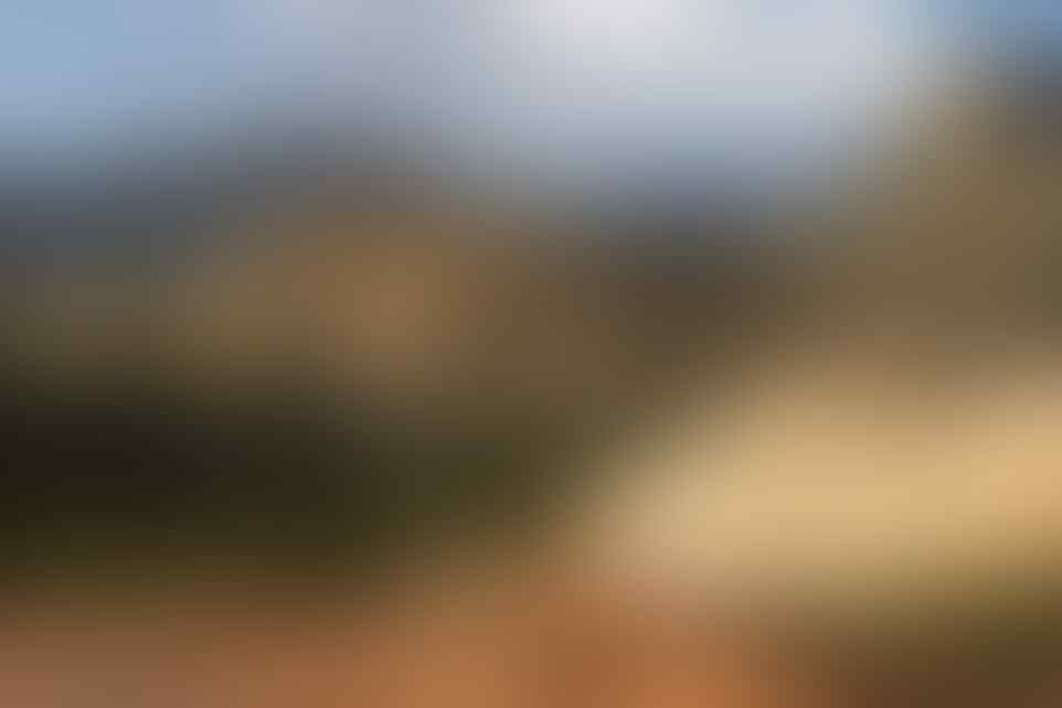 Tes mata, bisakah kamu temukan wanita tanpa busana di 7 foto ini?