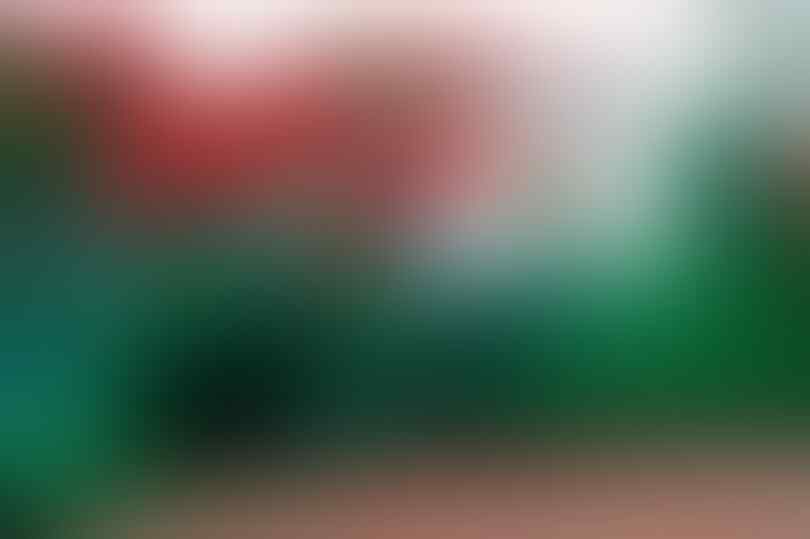 Tes mata, bisakah kamu temukan wanita tanpa busana di 7 foto ini?