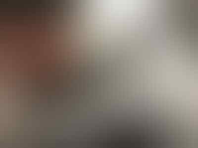 Berikan Napas Buatan, Pria Ini Selamatkan Bayi Beruang