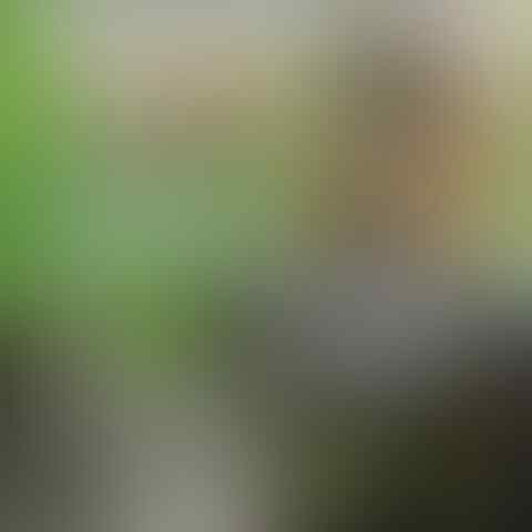 Minyak Gaib Sihir Mistik \ Pelet Pengasihan Penglarisan Santet Perawatan pusaka
