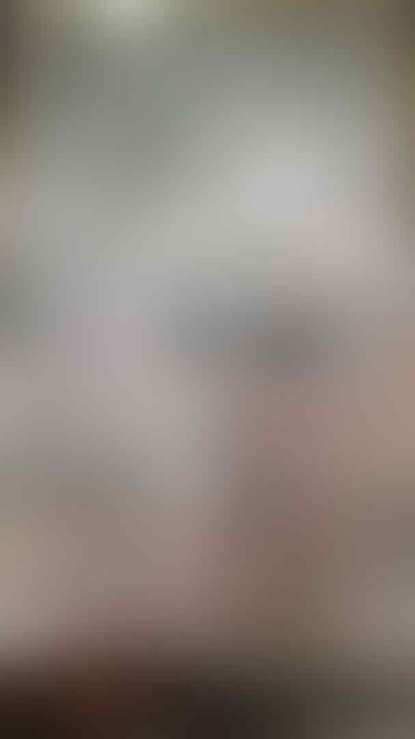 Jasa kirim sarang burung walet export ke Hongkong dan negara lain nya