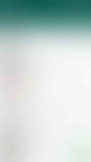 Begini, Cara Mudah Convert File Video Ke Animasi Gif Di WhatsApp (Tutorial)