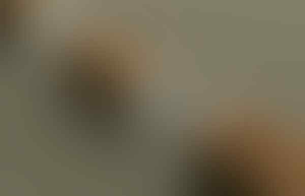 17 inovasi brilian yang memudahkan hidup kita