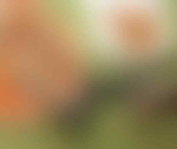 17 inovasi brilian yang memudahkan hidup kita