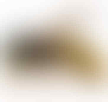 Dosa Yang Sering Kita Lakukan Ke Hewan Sewaktu Kita Masih Kecil
