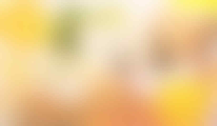 JasaPerantara.com : Jasa Profesional Pembelian Barang eBay, Amazon, dan Lainnya