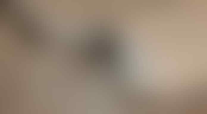 Jangan Dibuang, Kantung Teh Bekas Menyimpan Manfaat Luar Biasa