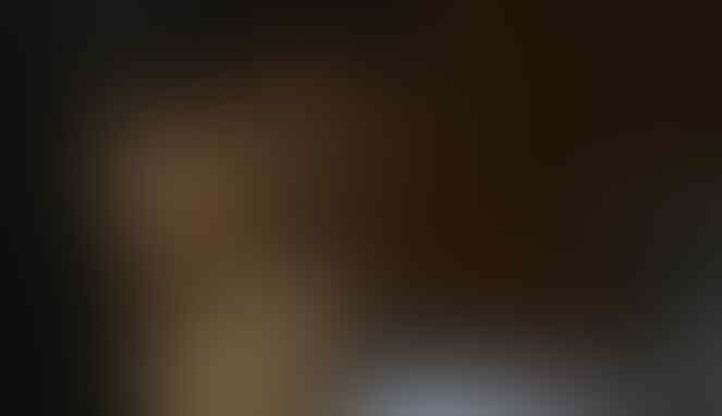 Enam Sosok yang Hebohkan Indonesia Sepanjang 2017