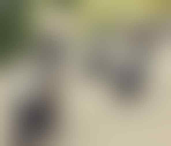 Suka Duka Ane 3 tahun Punya Skutik Bongsor