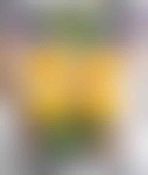 5 Minuman Paling Hits di Tahun 2017, Harus Coba Sebelum Tahun Baru!
