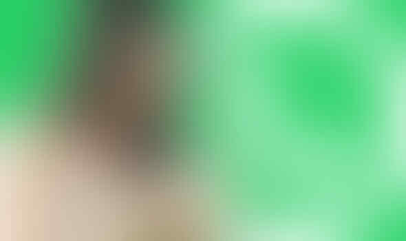 Yang Doyan Chat, Fitur Whatsapp Ini Wajib Diketahui
