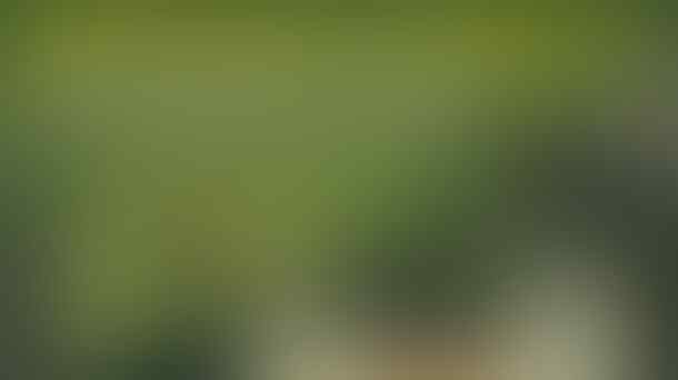 INI DIA 5 GAME AUTO NGESELIN