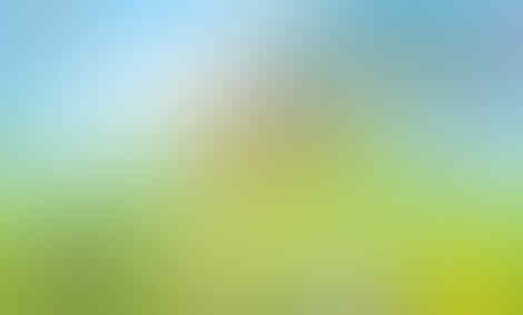 5 Hal, Tamagotchi Mobile yang Perlu Kamu Tahu (Siap Diluncurkan 15 Maret '18)