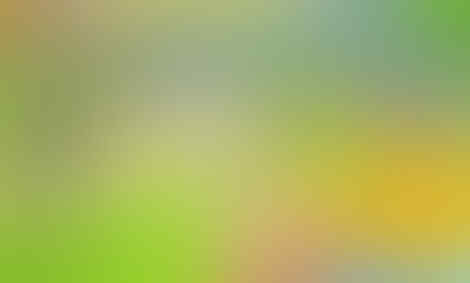 5 Hal, Tamagotchi Mobile yang Perlu Kamu Tahu (Siap Diluncurkan 15 Maret '18)