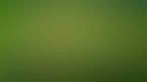 5 Game Mirip Plant Vs Zombie