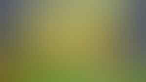 5 Game Mirip Plant Vs Zombie