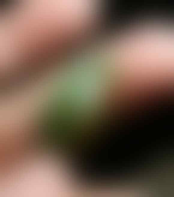 LELANG KILAT#275 TUTUP KAMIS SEKARANG TGL 12 APRIL 2018, JAM 23.30 WAKTU KASKUS