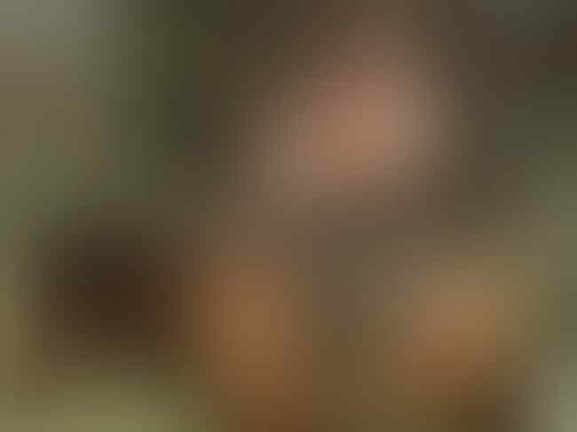 Membandingkan Putin dan Prabowo Saat Telanjang Dada