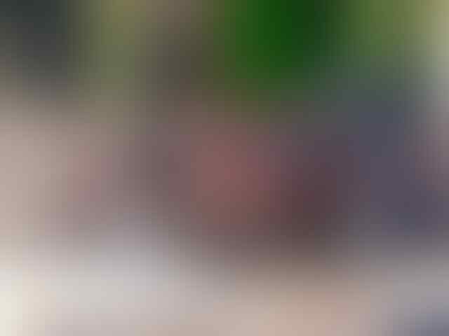 Kenapa Orang Bule Susah Buat Jongkok?