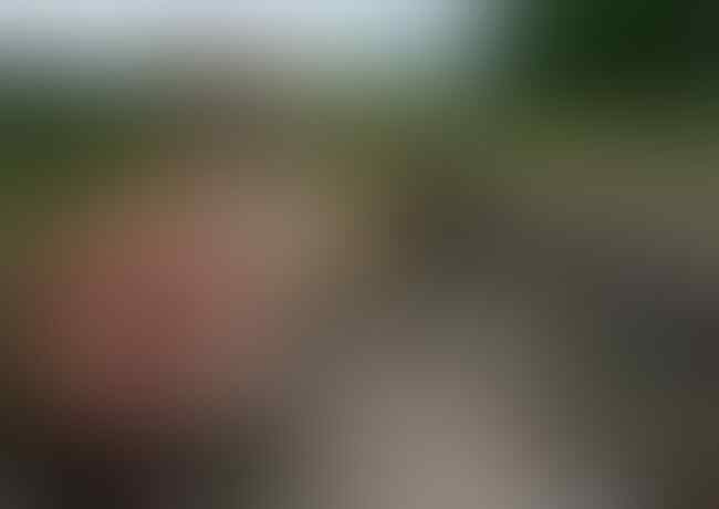 Timbunan Tengkorak hingga Suku Primitif, Ini 5 Lokasi Paling Seram di Dunia