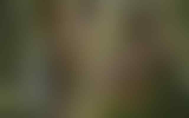 Timbunan Tengkorak hingga Suku Primitif, Ini 5 Lokasi Paling Seram di Dunia