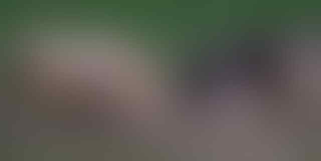 Ada Kelompok di PKS Bergaya Intelijen Garap Anis Matta