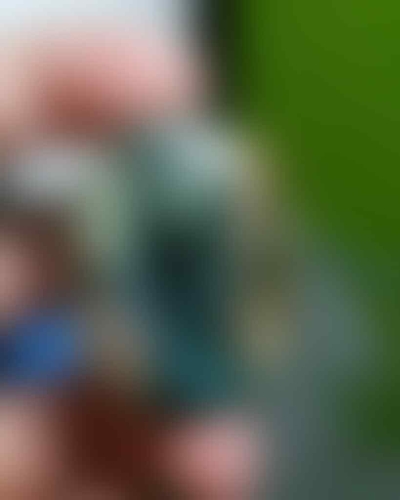 LELANG KILAT#287 TUTUP SELASA PAGI TGL 12 JUNI 2018, JAM 08.00 PAGI WAKTU KASKUS