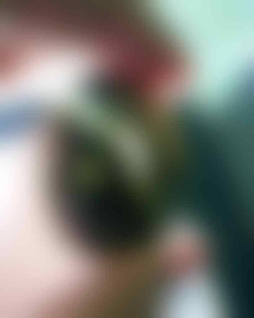 LELANG KILAT#287 TUTUP SELASA PAGI TGL 12 JUNI 2018, JAM 08.00 PAGI WAKTU KASKUS