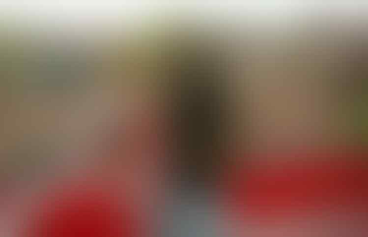 Siapa Pembelian Pemain Terbaik Arsenal di Era Kepelatihan Arsène Wenger?
