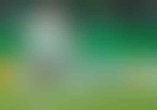7 Pemain Sepak Bola Wanita Legend Sepanjang Masa