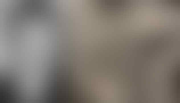 Skenario-Skenario Ini Gagal Membunuh Hitler. Hitler Masih Hidupkah?