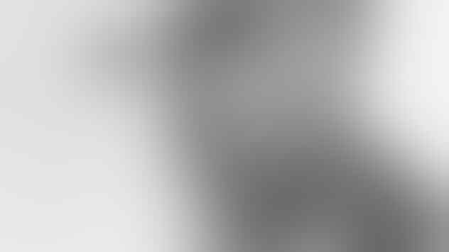 Skenario-Skenario Ini Gagal Membunuh Hitler. Hitler Masih Hidupkah?