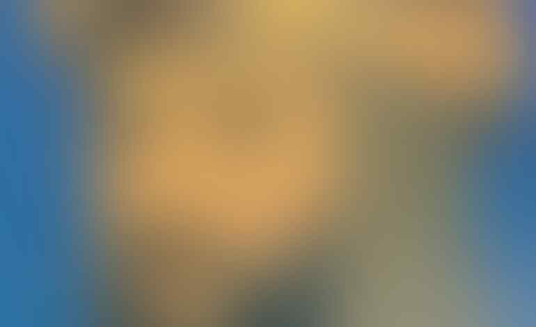 Terkuak, misteri penyakit yang renggut nyawa pemimpin Islam Saladin