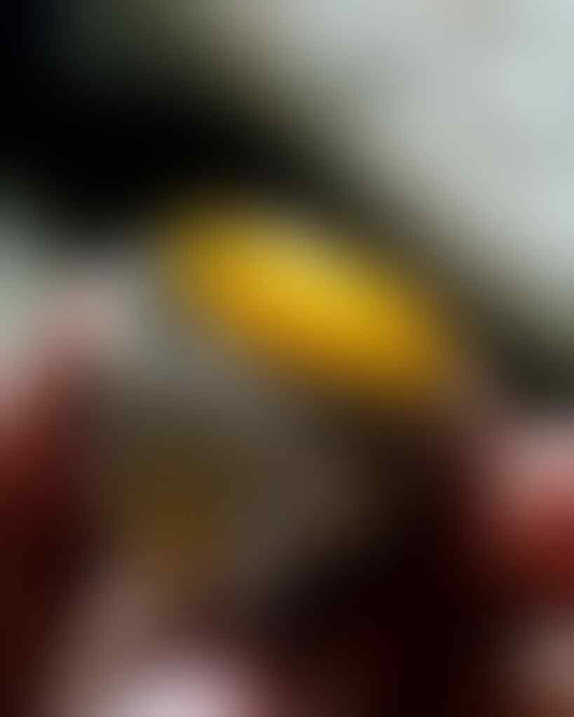 LELANG KILAT#287 TUTUP SELASA PAGI TGL 12 JUNI 2018, JAM 08.00 PAGI WAKTU KASKUS