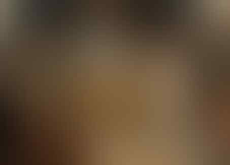 Fakta Tentang Dark Age