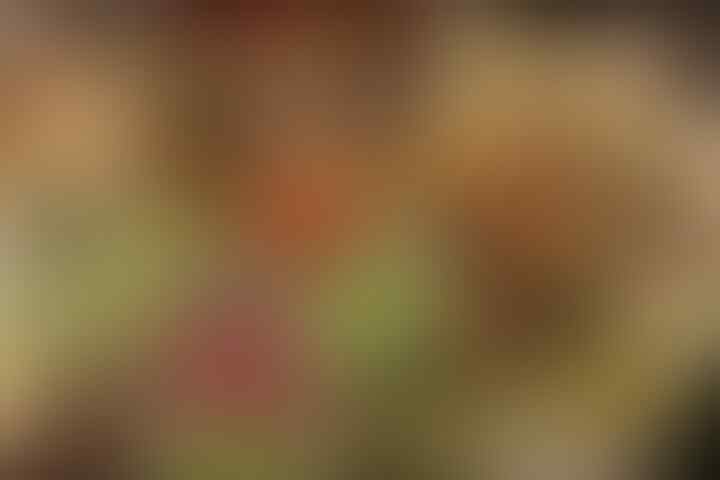 apa perlu kita bangunin orang yg mau santap sahur pake pengeras suara?