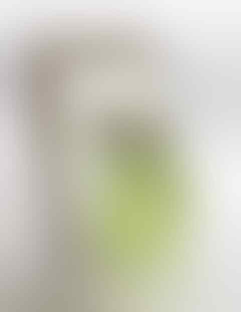 Tempat Khusus Listing Swap Parfum