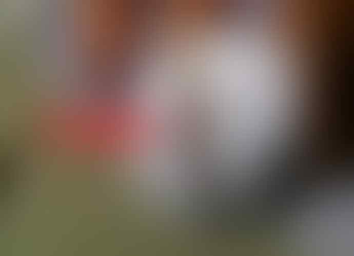 Ketika Granat Dibelah, Inilah Wujudnya! Benda Yang Dibelah Ternyata