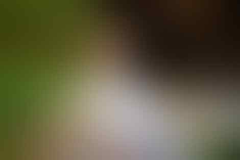&#91;#CerpenReligi&#93; BUKAN SALAH TAKDIR