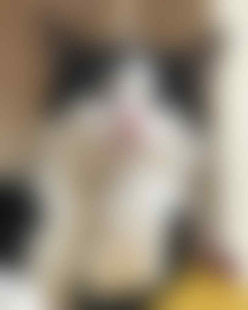 Dikritik Pelihara Anjing, Mantan Istri Aming Tulis Ini di Instagram