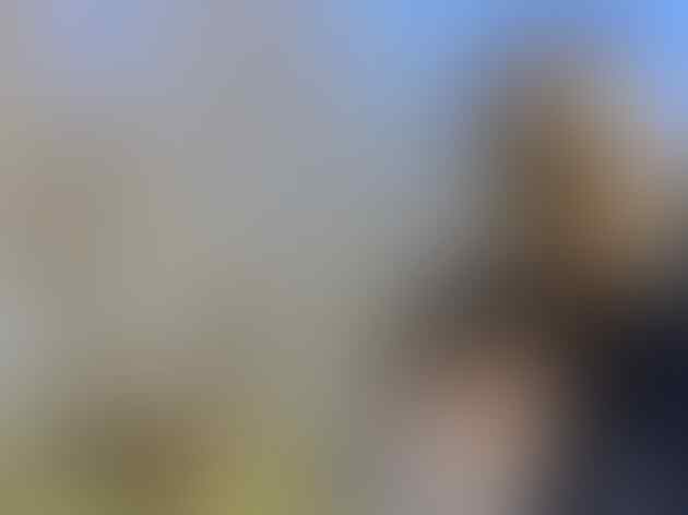 Meski Bungkam, Hubungan Intim 5 Pasangan ini Terbongkar Juga