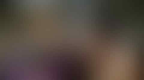 7 Film Ini Menghancurkan Karir Sutradara nya. Kenapa Ya
