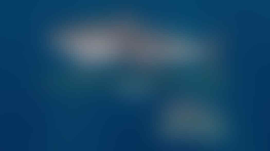 Kenapa Kita Tidak Pernah Melihat Hiu Putih di Akuarium? Ternyata Alasannya