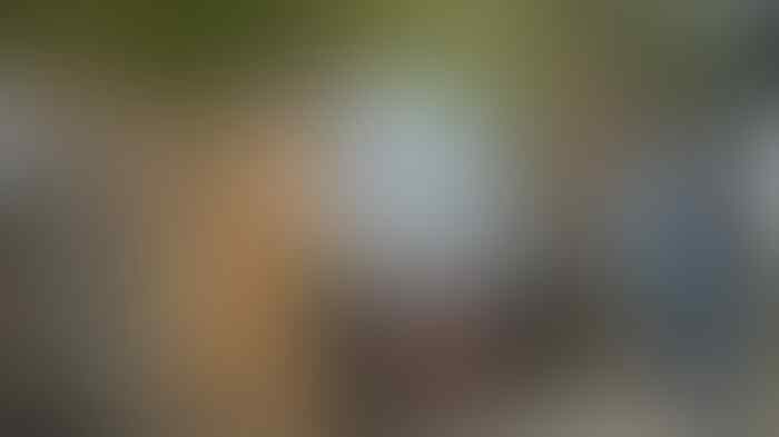 Bikin Geleng Kepala!!jauh Beda Gaya Hidup Istri Pejabat Kita dan Luar Negeri.