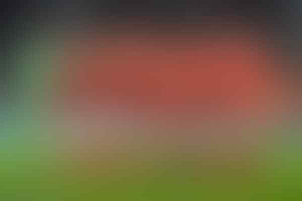 #Rusia2018: Profil Peserta Grup A