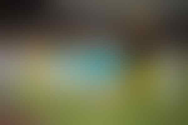 #Rusia2018: Profil Peserta Grup A