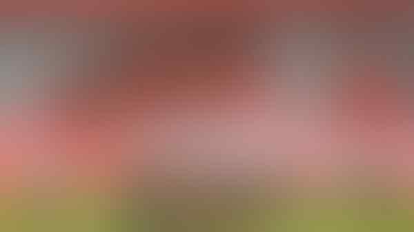 #Rusia2018: Profil Peserta Grup A