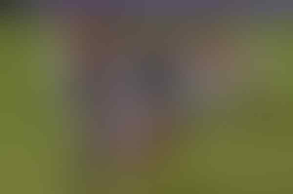 #Rusia2018: Profil Peserta Grup B