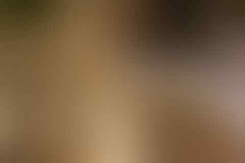 Menolak Adanya Tuhan, Ini 7 Kota Dengan Pemuja Setan Terbanyak di Dunia