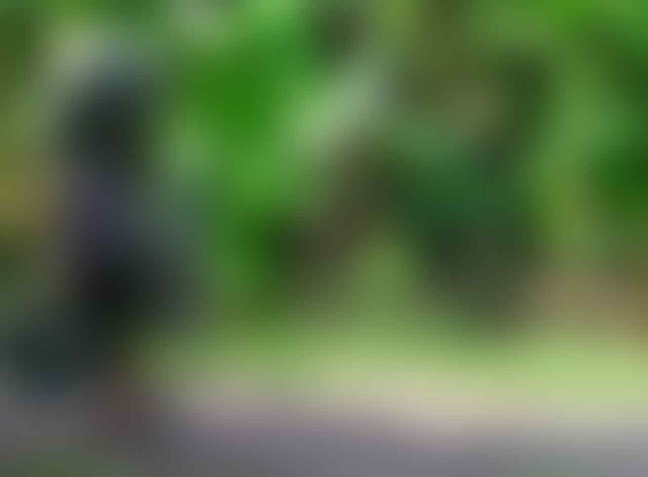 Ini Dia 7 Pedagang Keliling Yang Melegenda, Agan Semua Pasti Tau